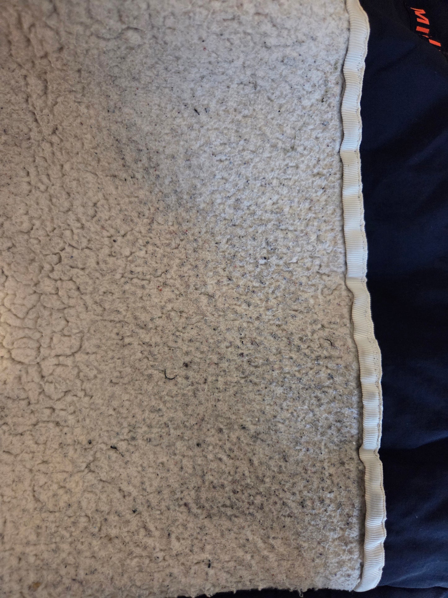inner fabric with blue staining